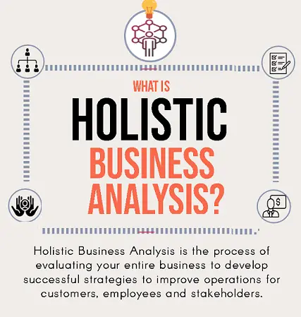 holistic business analysis
